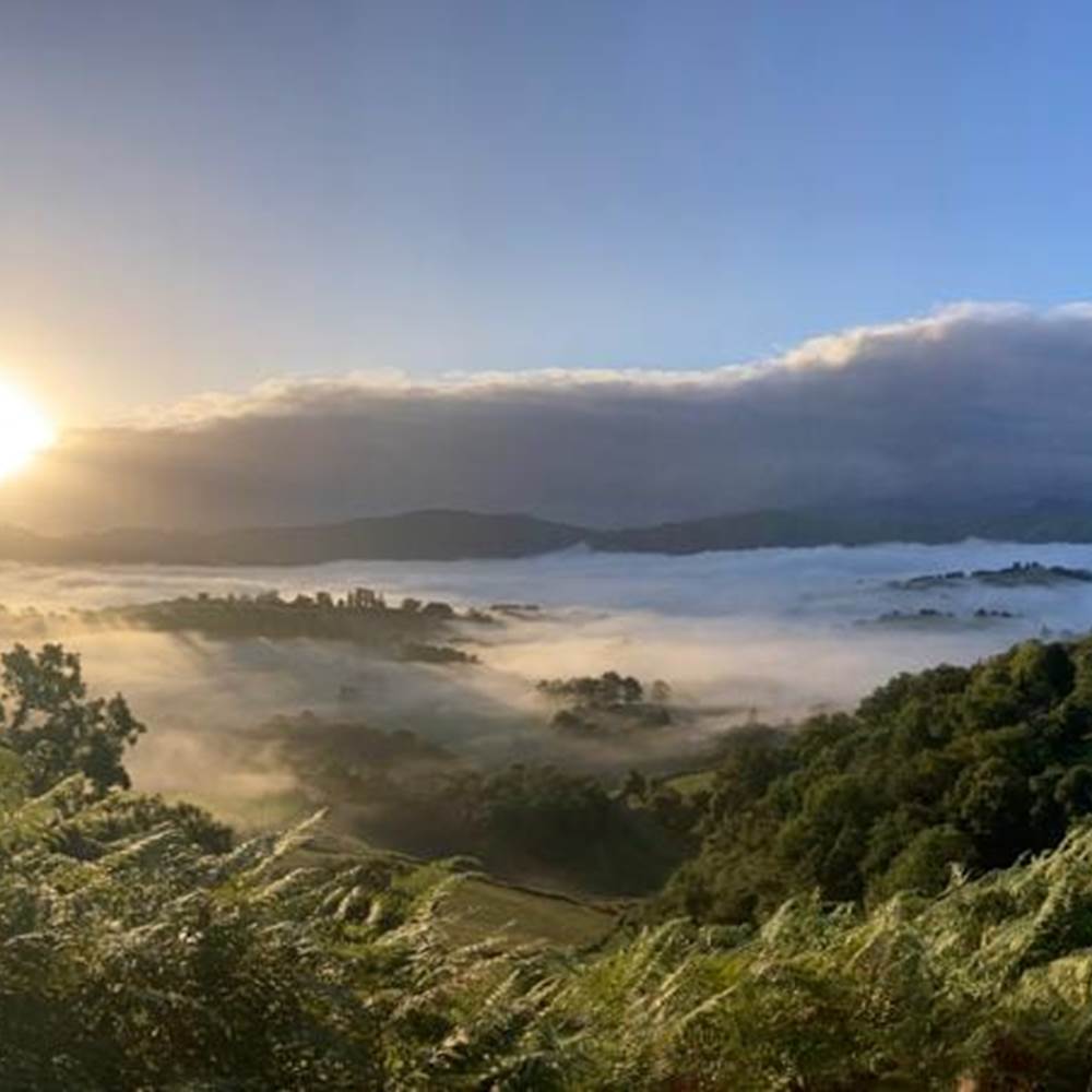 Vue en montant sur le chemin-gallery