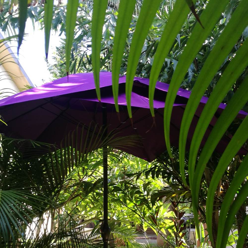 la-terrasse-ombragee-de-ti-caze-nature-dans-son-ecrin-de-verdure-la-reunion-gallery