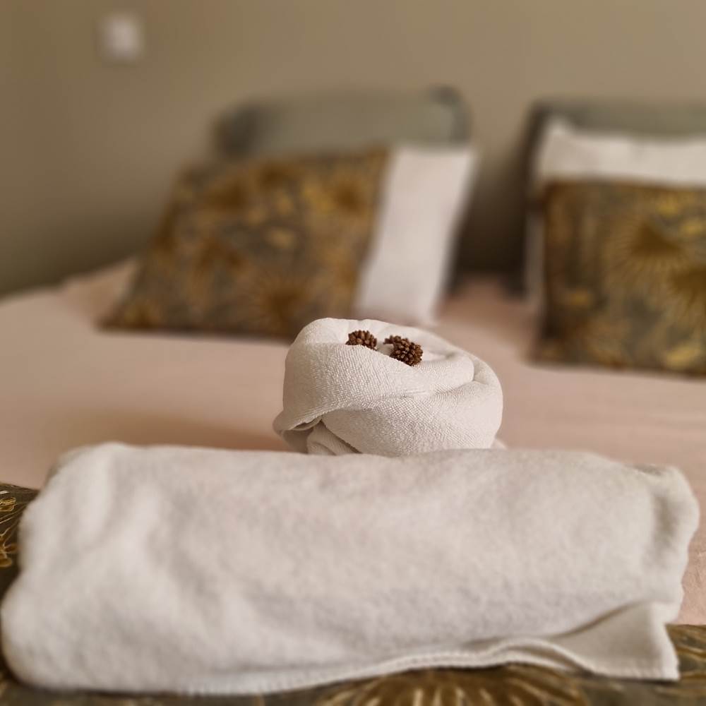 20221217_130705-presta