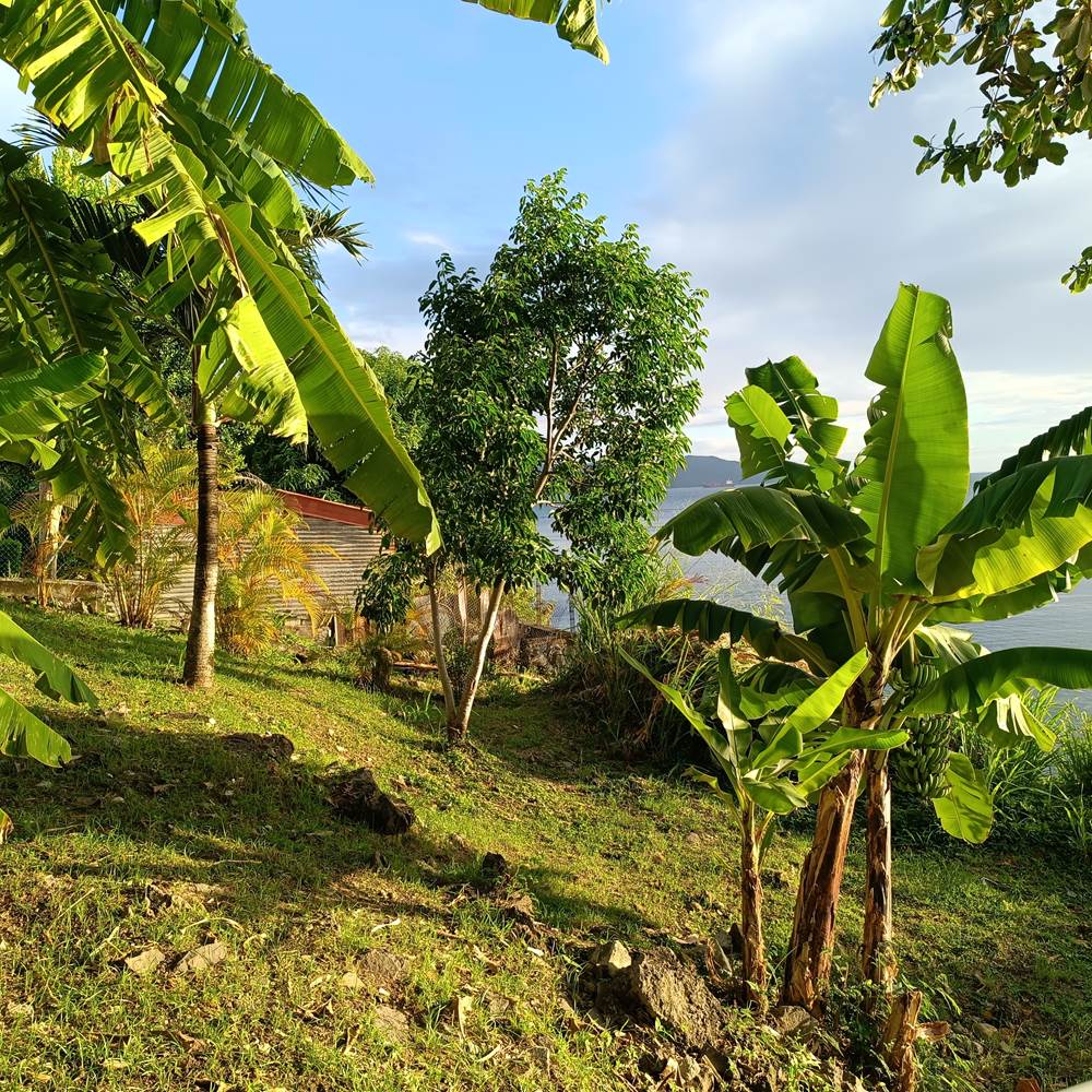 Vue jardin