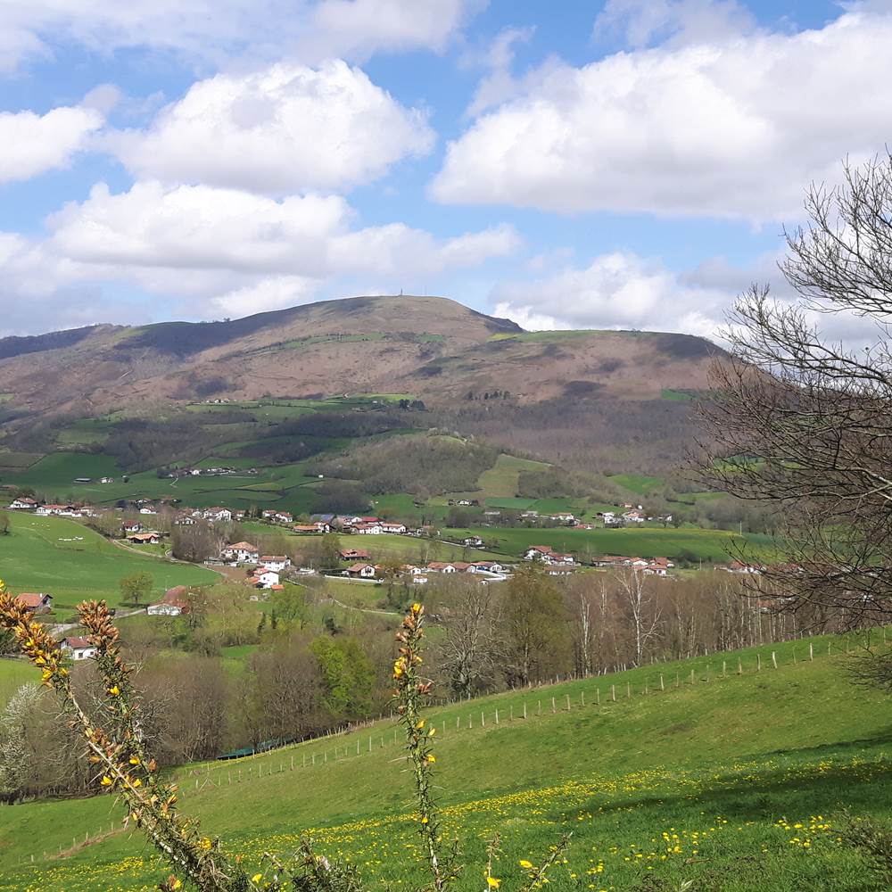 La vue sur la propriété-gallery