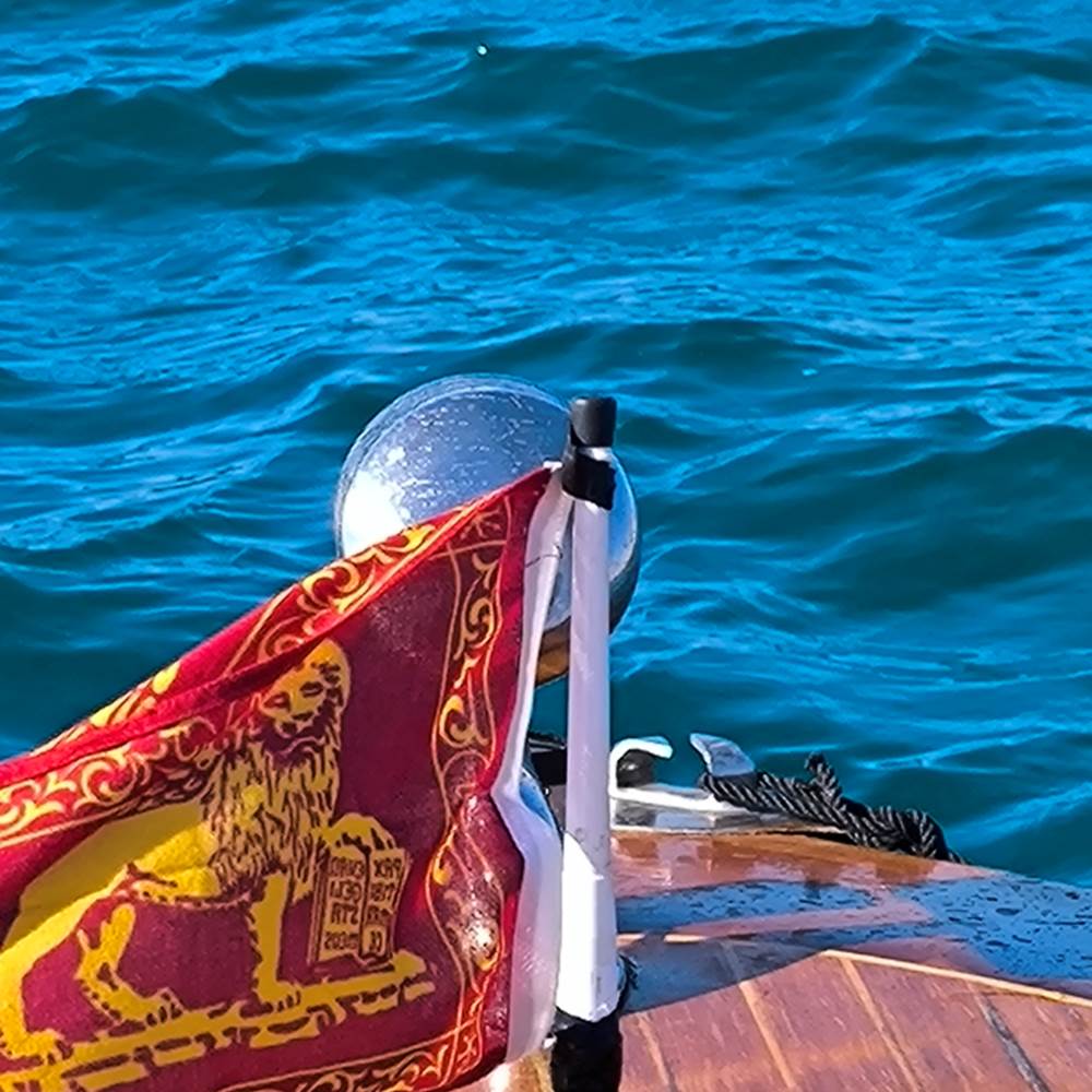 gonfalone di San Marco-gallery