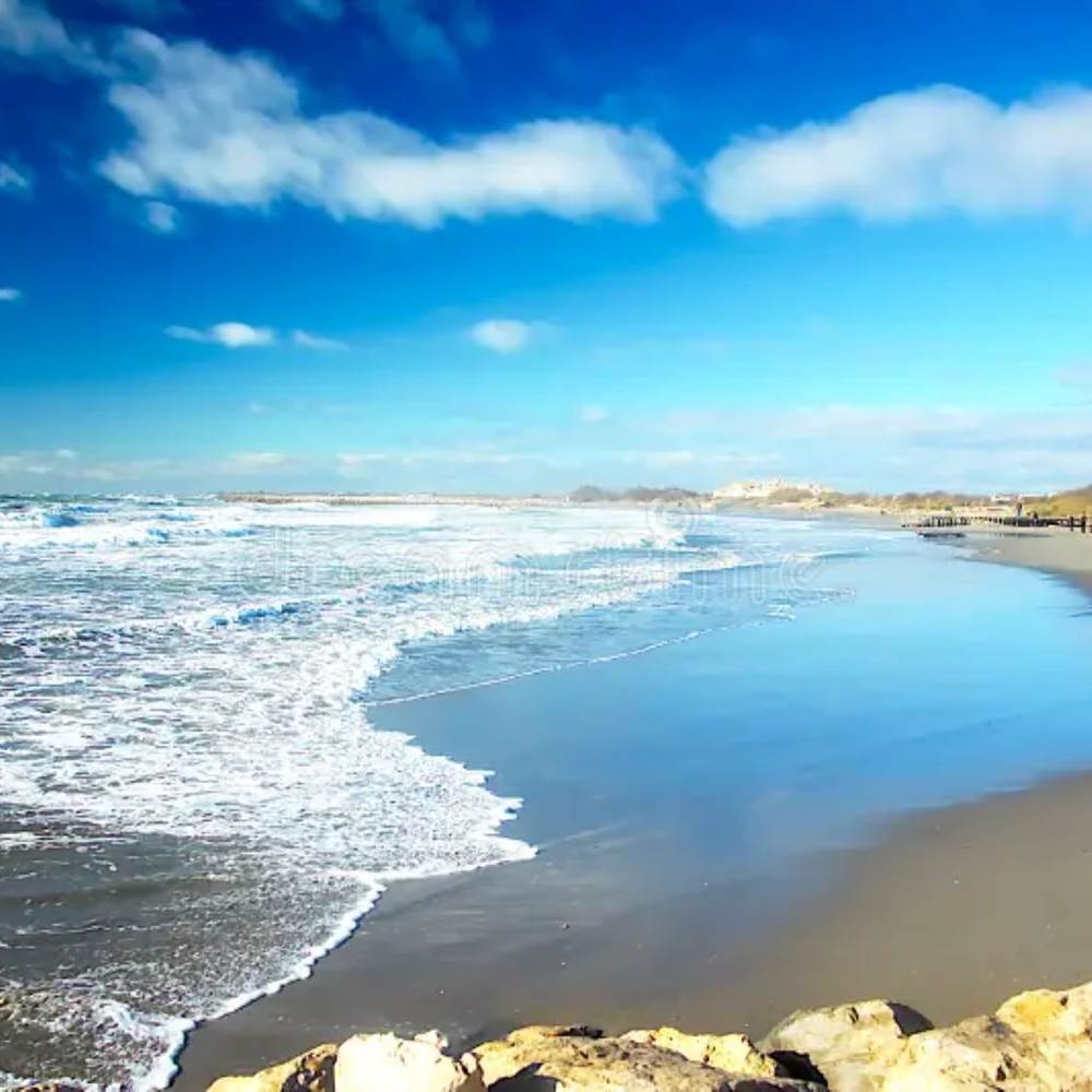 coastline-saintes-maries-de-la-mer-camargue-france-shot-was-taken-last-december-beach-department-bouches-du-118052871-gallery