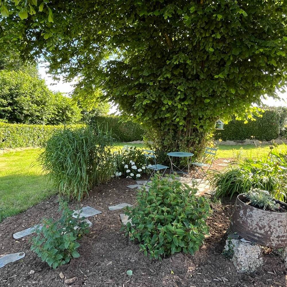 30703351-c3b3-44a5-8531-5a2d42ec6f44 2-galerie