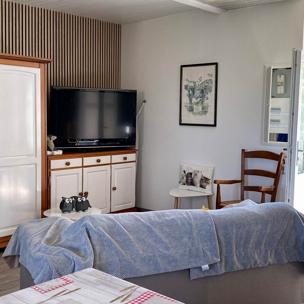 Salon rénové avec grande télé