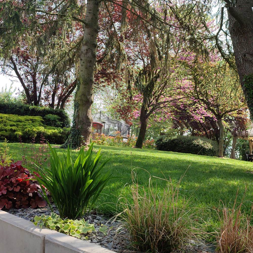 Notre jardin arboré partagé-presta