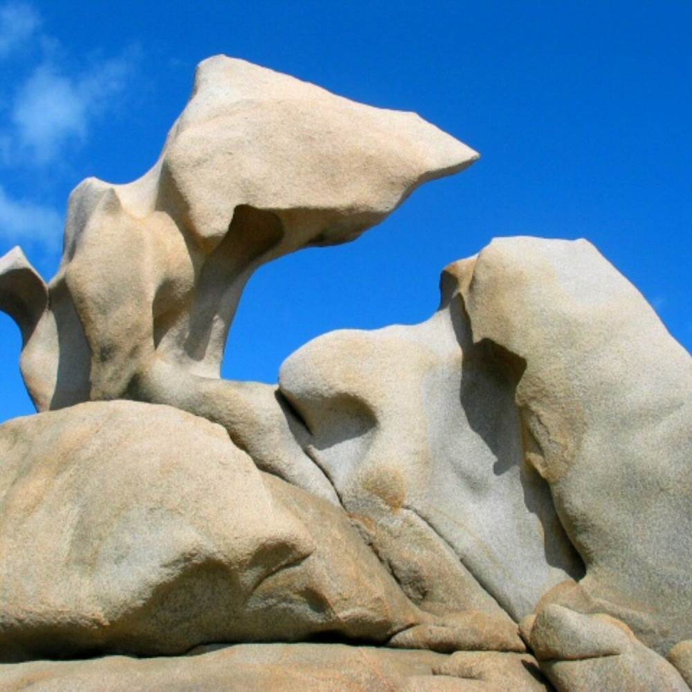 mobil-home-corse-golfe-valinco-plage-propriano-presta