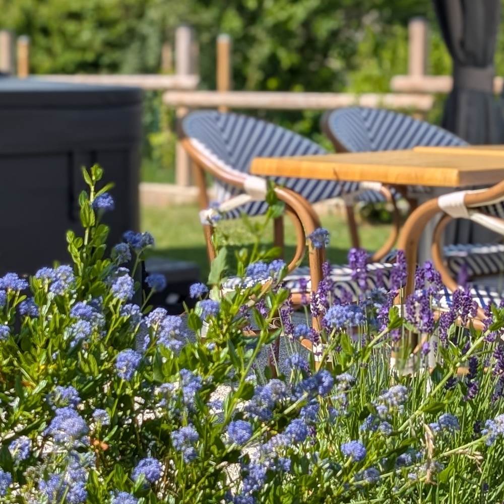Gîte Le Cémarose en Champagne jardin paysager-gallery