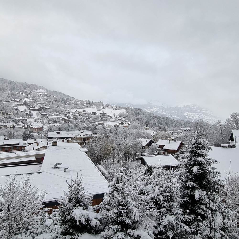 Vue depuis le chalet-gallery