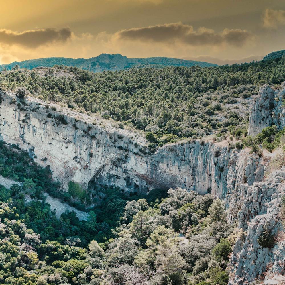 Saint-Guilhem-le-désert-presta