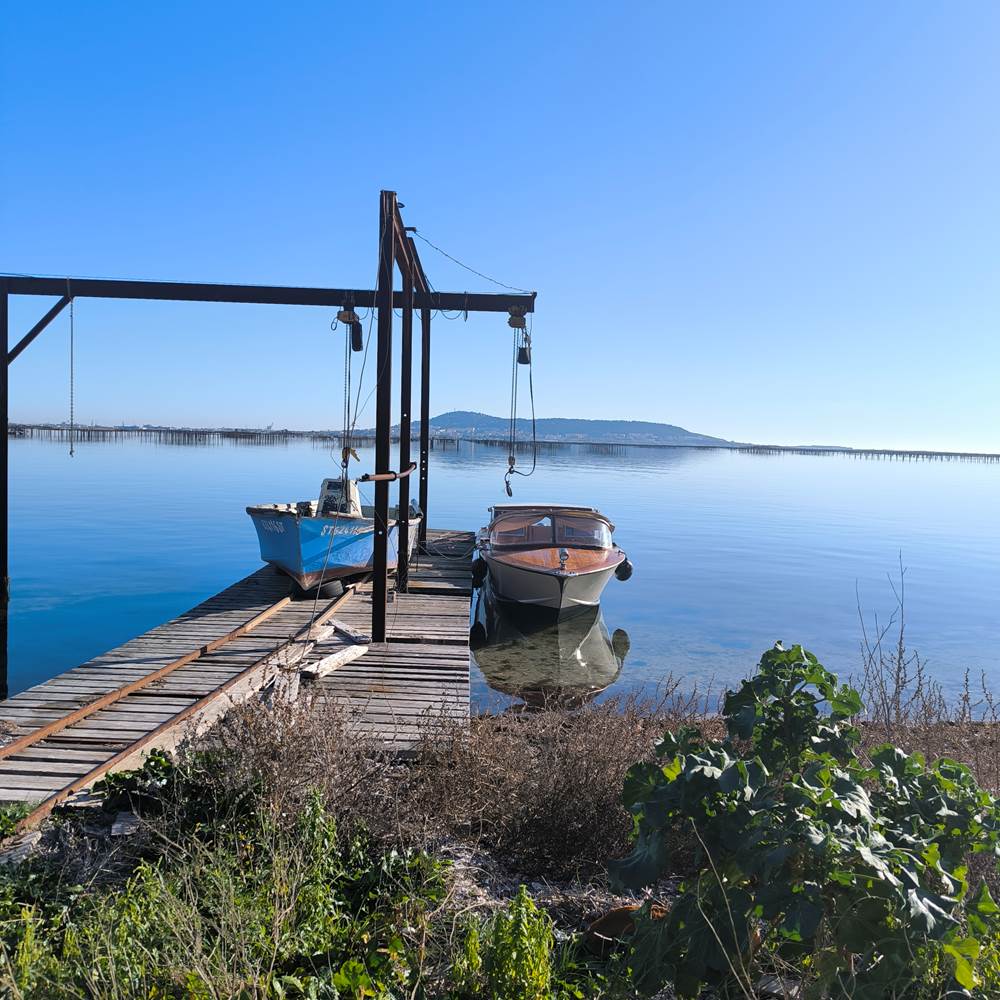 Mas ostréicole-presta