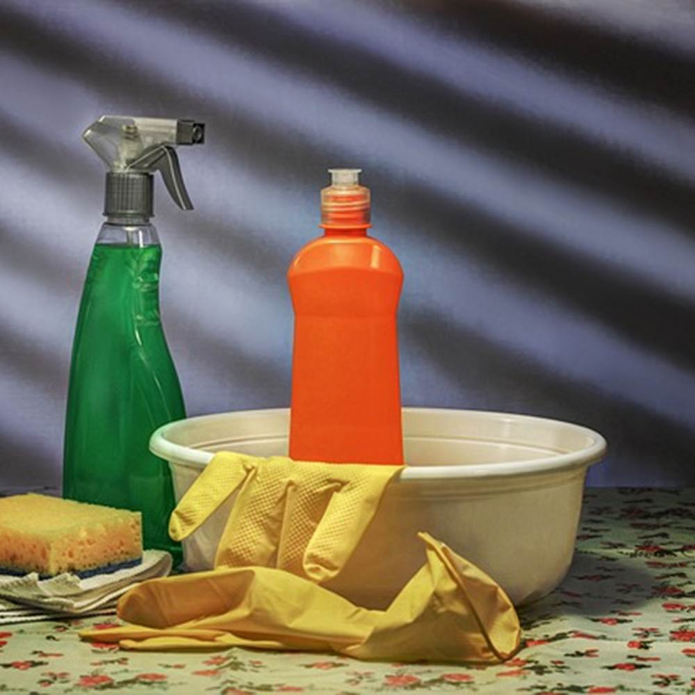 VILLA ETCHE CAROLA BIDART - Ménage