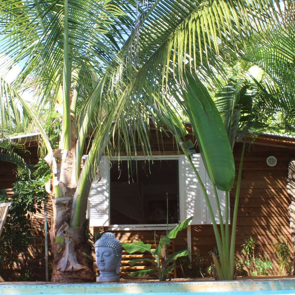 Vue du Yucca-Zen depuis le jardin-presta