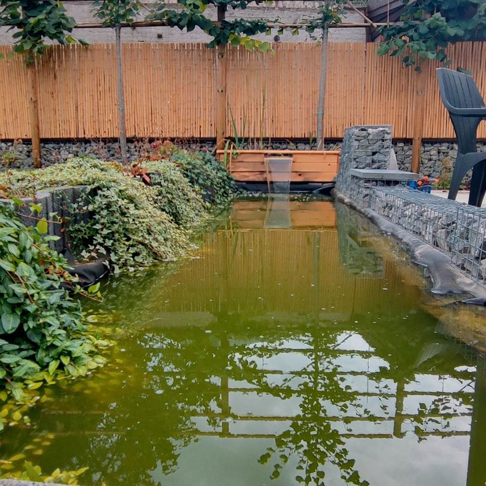 IMG_20240903_150455~2-presta