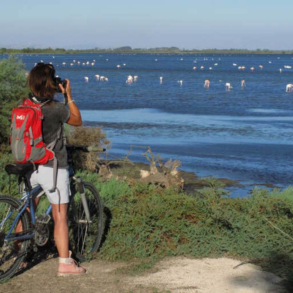 topo decouverte vaccares_F_Ferreira-presta