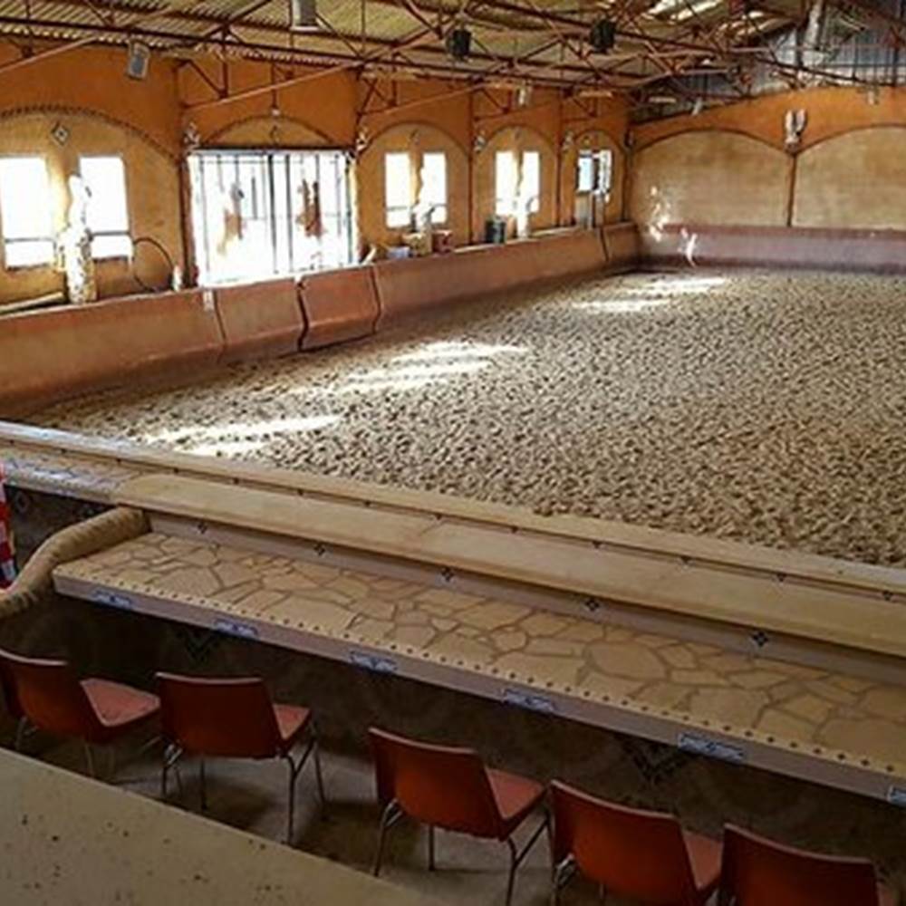 MANEGE-presta