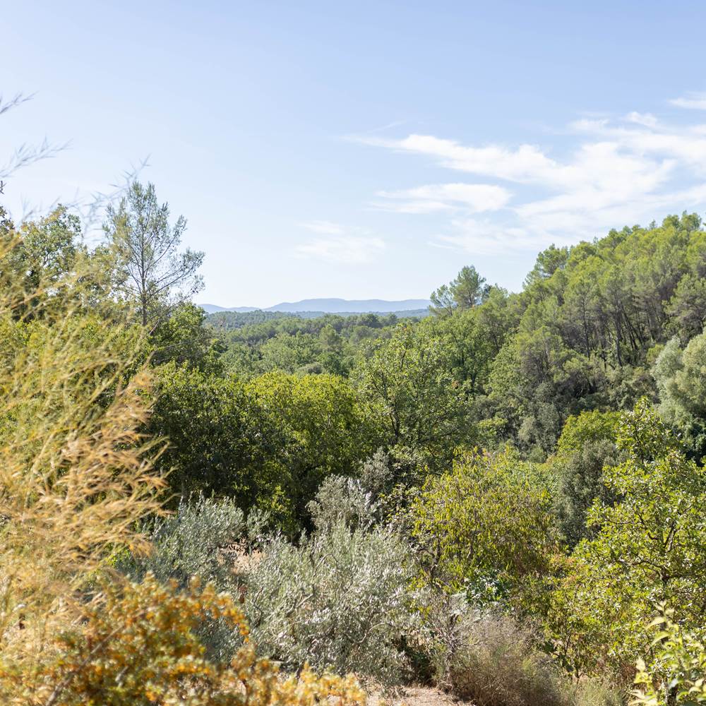 Vue sur la Nature à Casa AMMIRATI FLayosc-presta