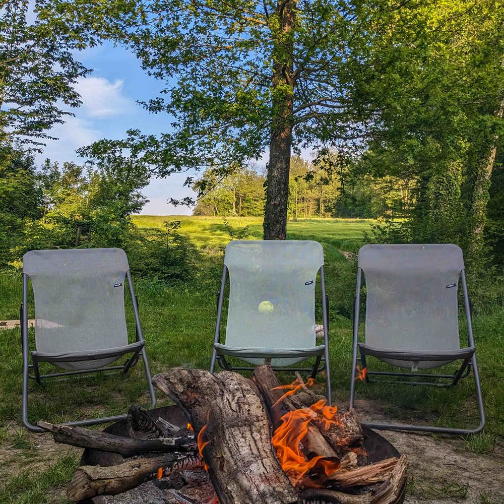 PXL_20230518_172917409.MP