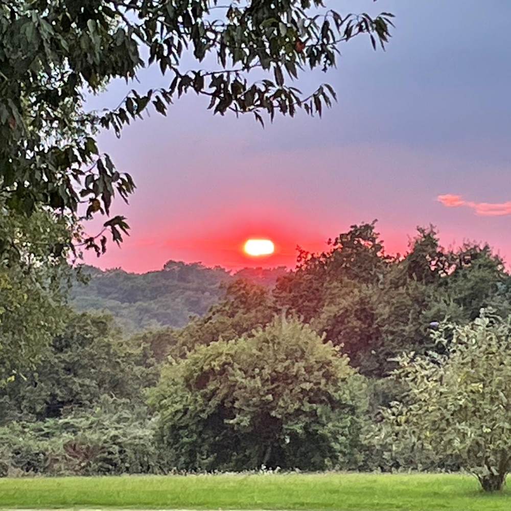 Coucher de soleil sur le parc a la mi septembre, 20h, 23 degres-gallery