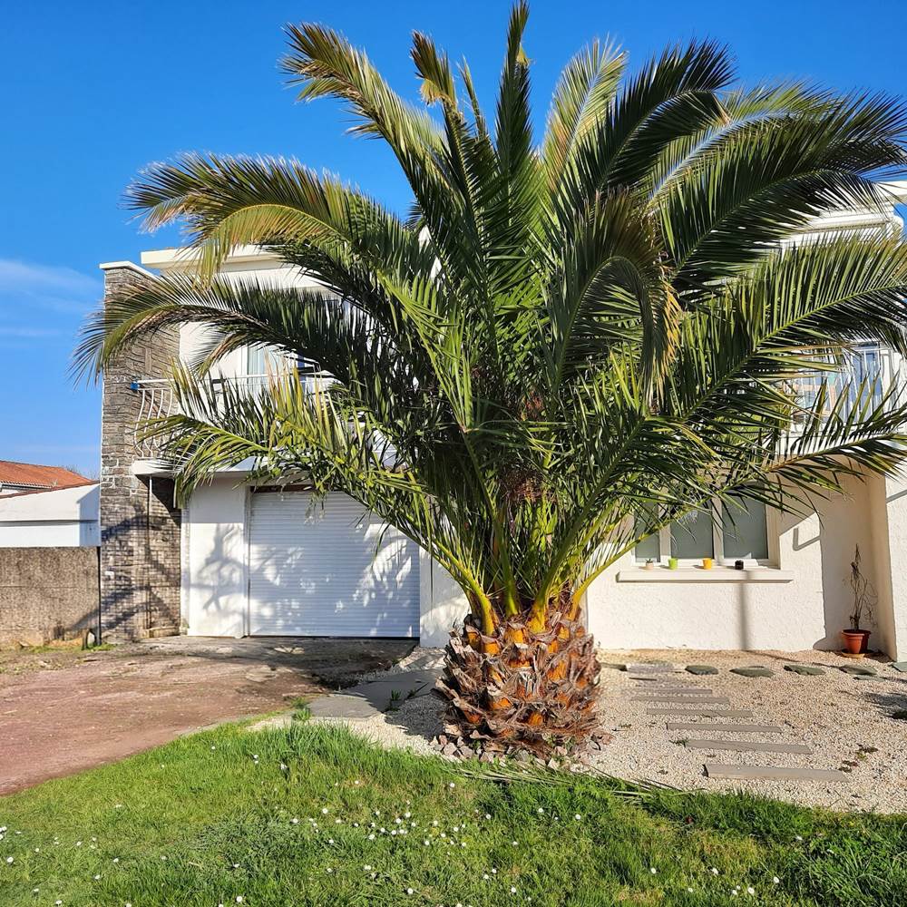 Façade Maison-gallery