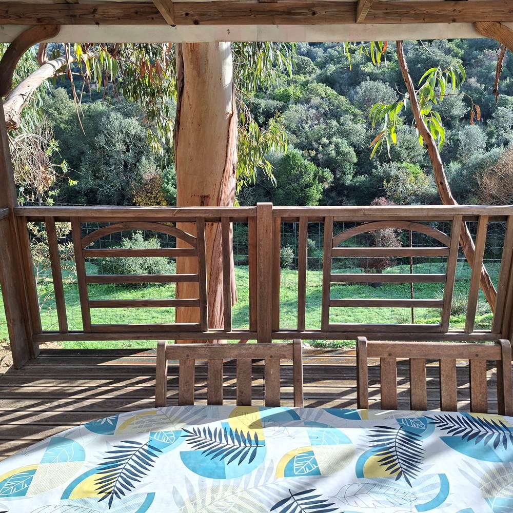 Terrasse couverte-presta