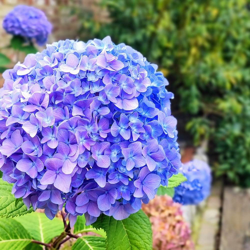 original_476940df-df80-4753-b683-491c466e3ab1_IMG_20240903_153020-presta