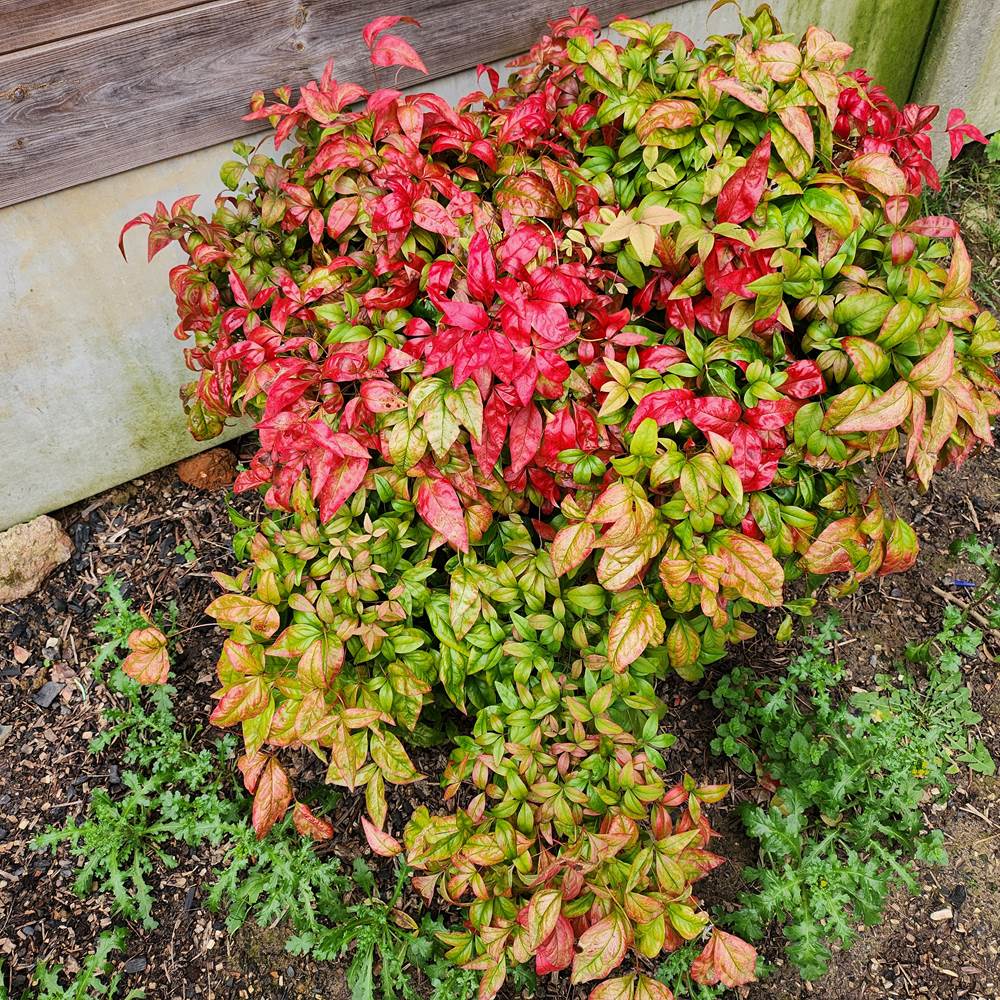 20231223_143256-presta