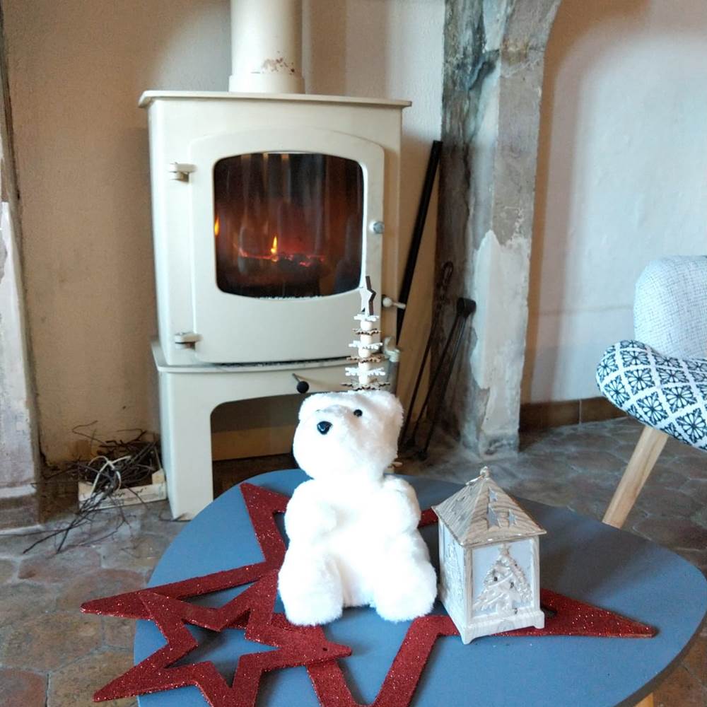 Feu de bois dans la salle commune-gallery