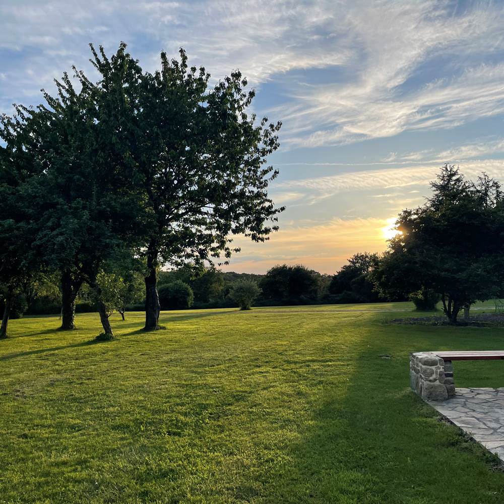 Parc arboré lumière du soir-gallery