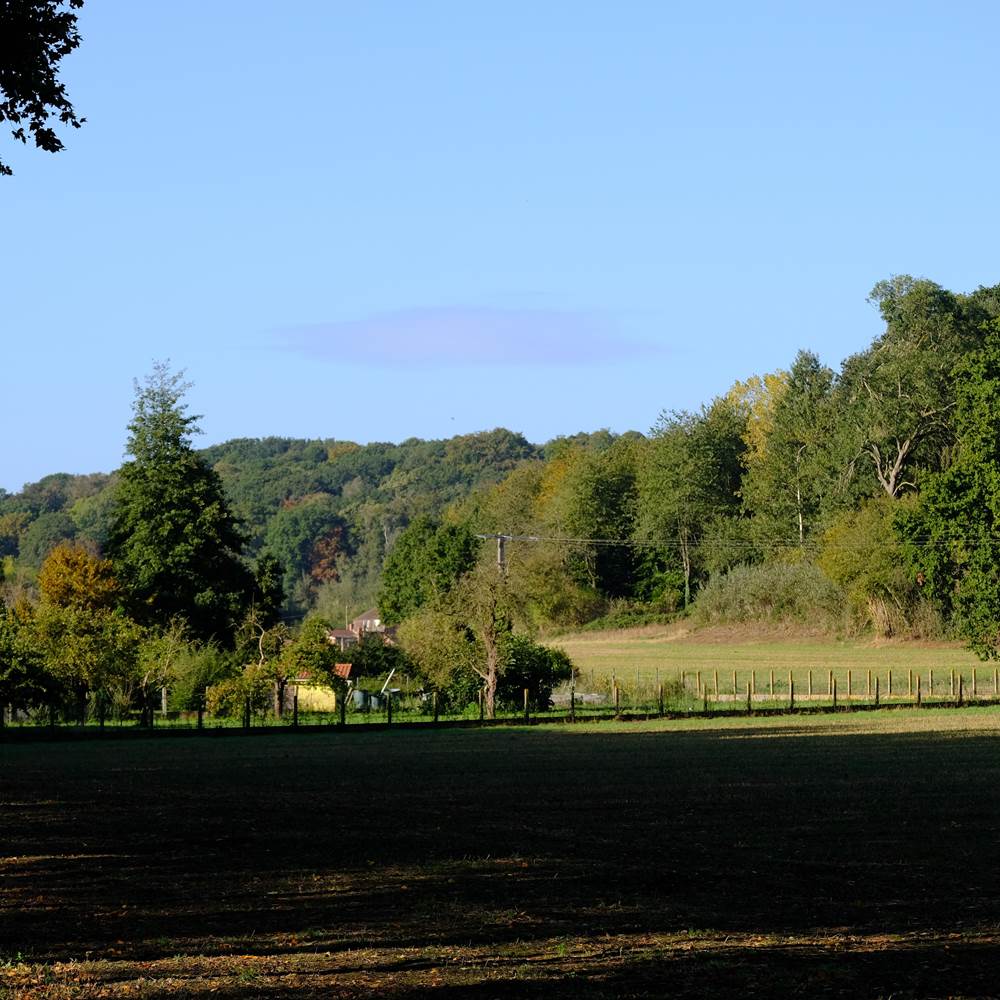 Bois des Dames sortie du village (Copy)-presta