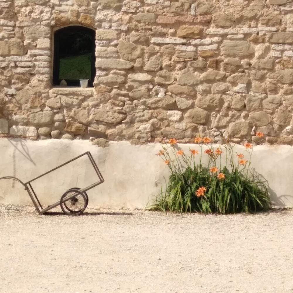 20230607_164252-presta