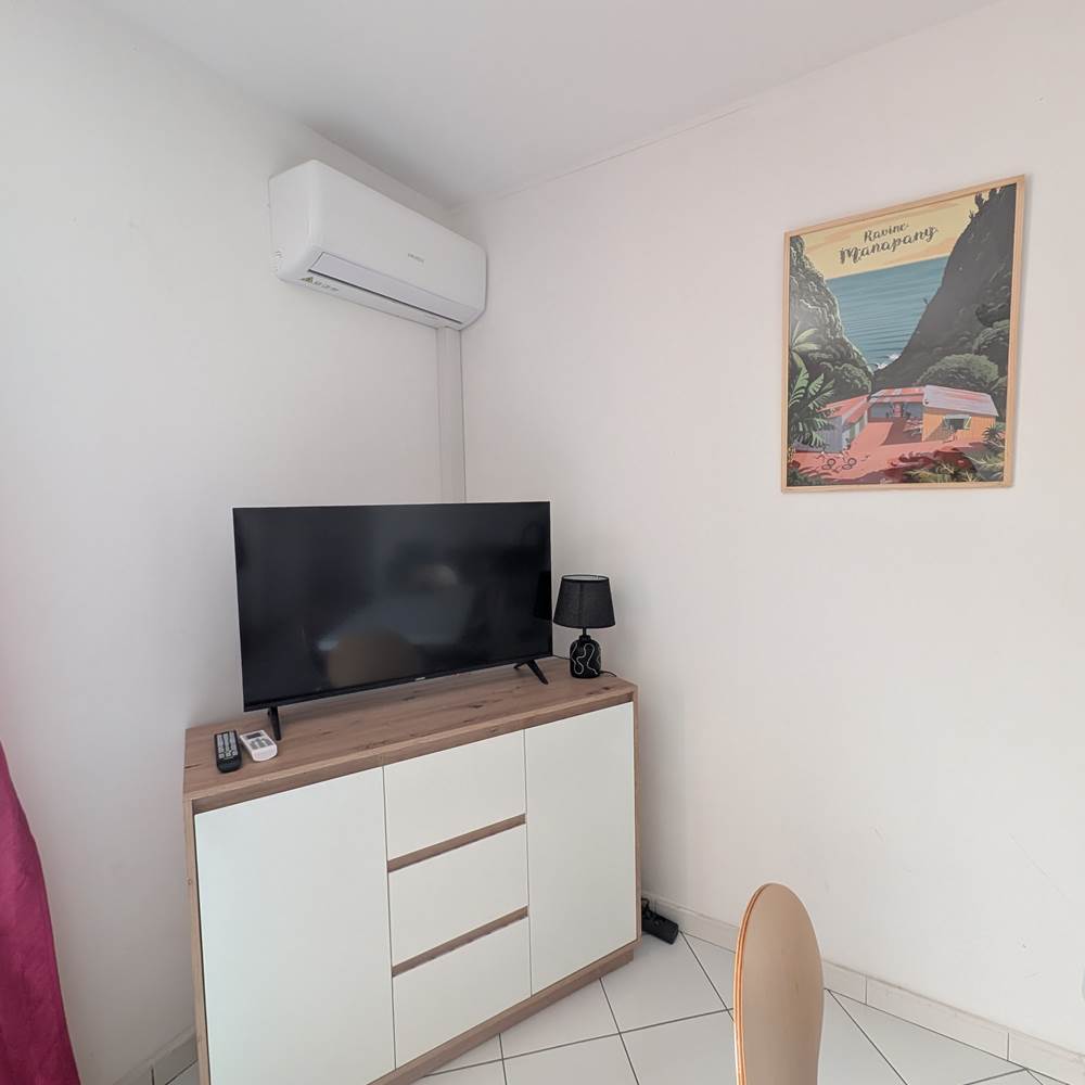 T3 TV connectée + meuble (séjour)
