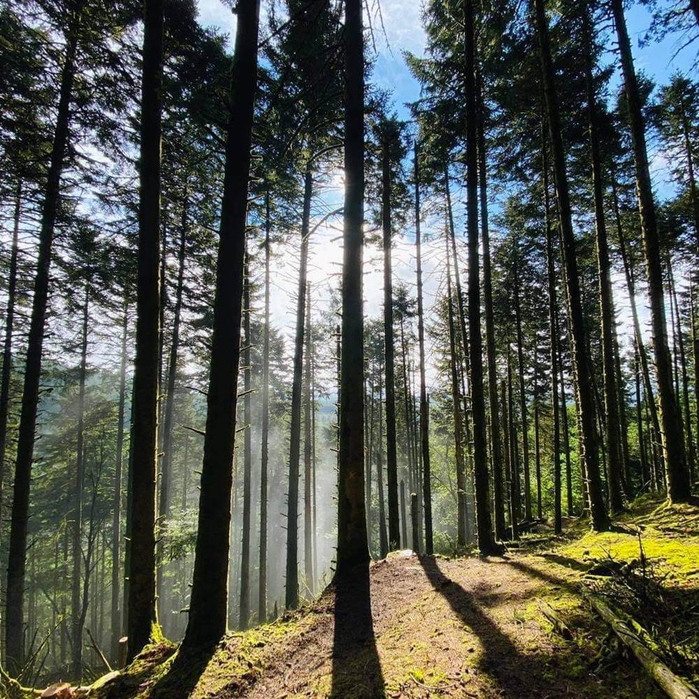 Bike Park Limousin-gallery