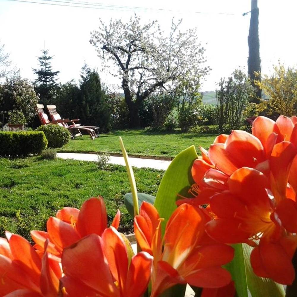 maison-hotes-suite-independante-rhone-galerie