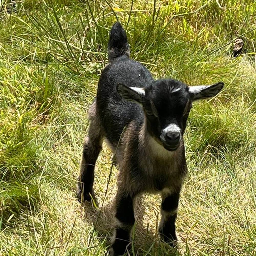 e32f1d71-bb88-44fe-8494-bc4e60317894 2-galerie