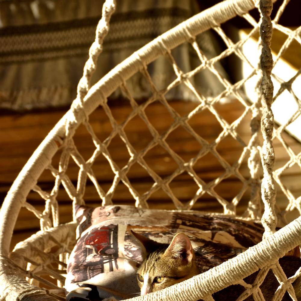 Fauteuil suspendu sur la terrasse de Mounkapoussé. Marie Galante, Saint-Louis.-presta