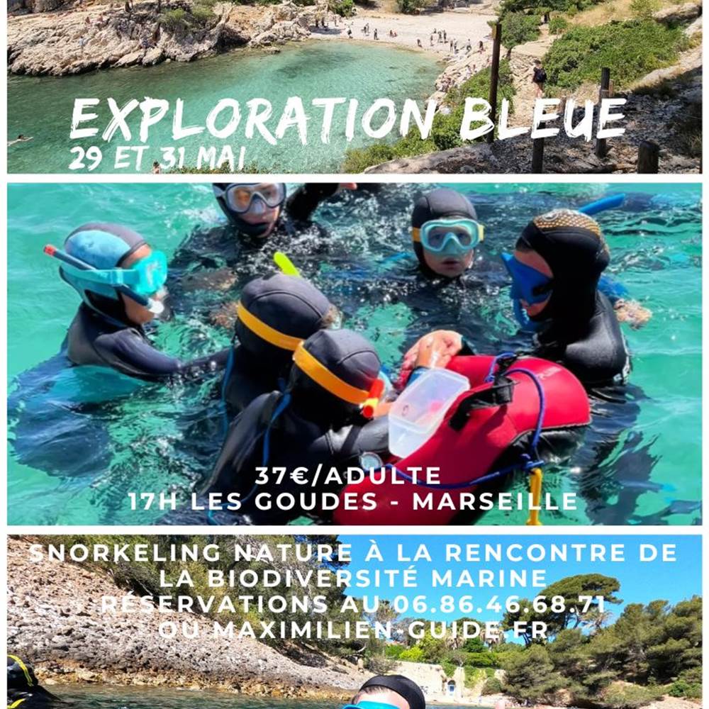 Copie de Copie de grues cendrées-presta