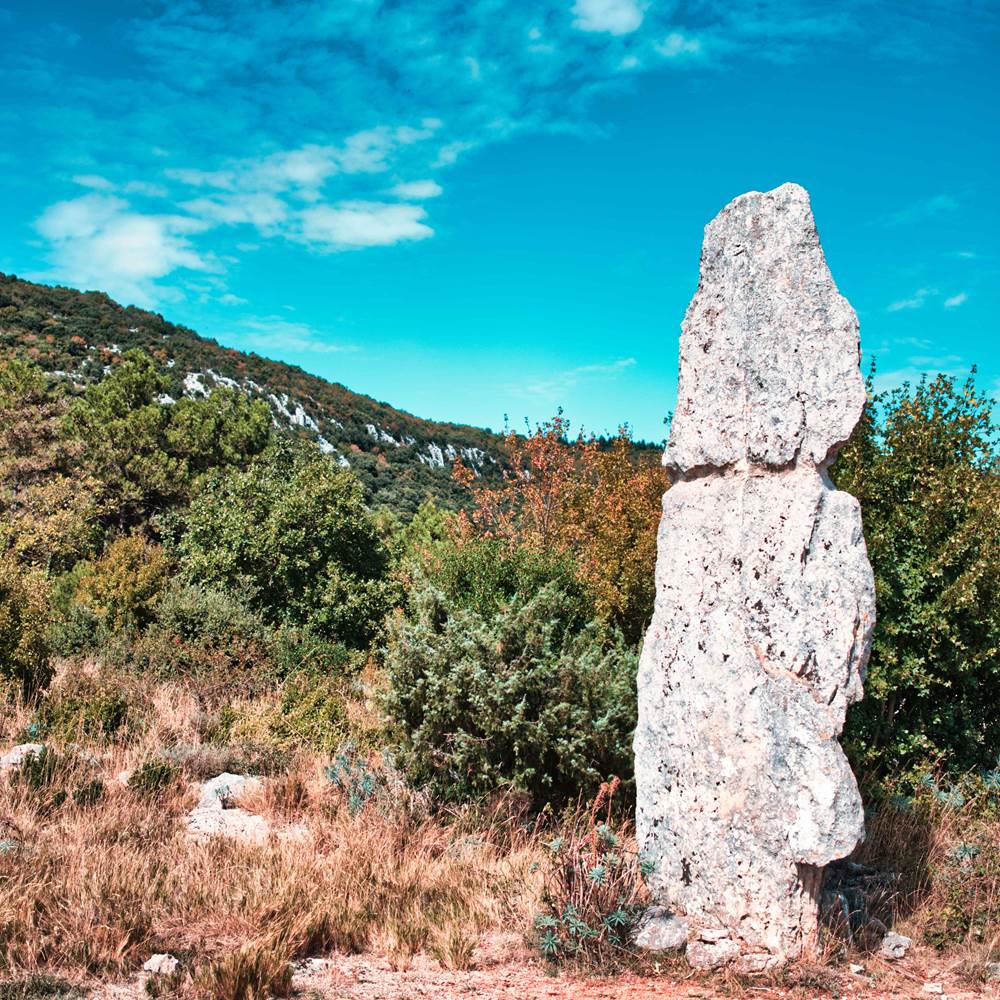Les-Lavagnes-presta