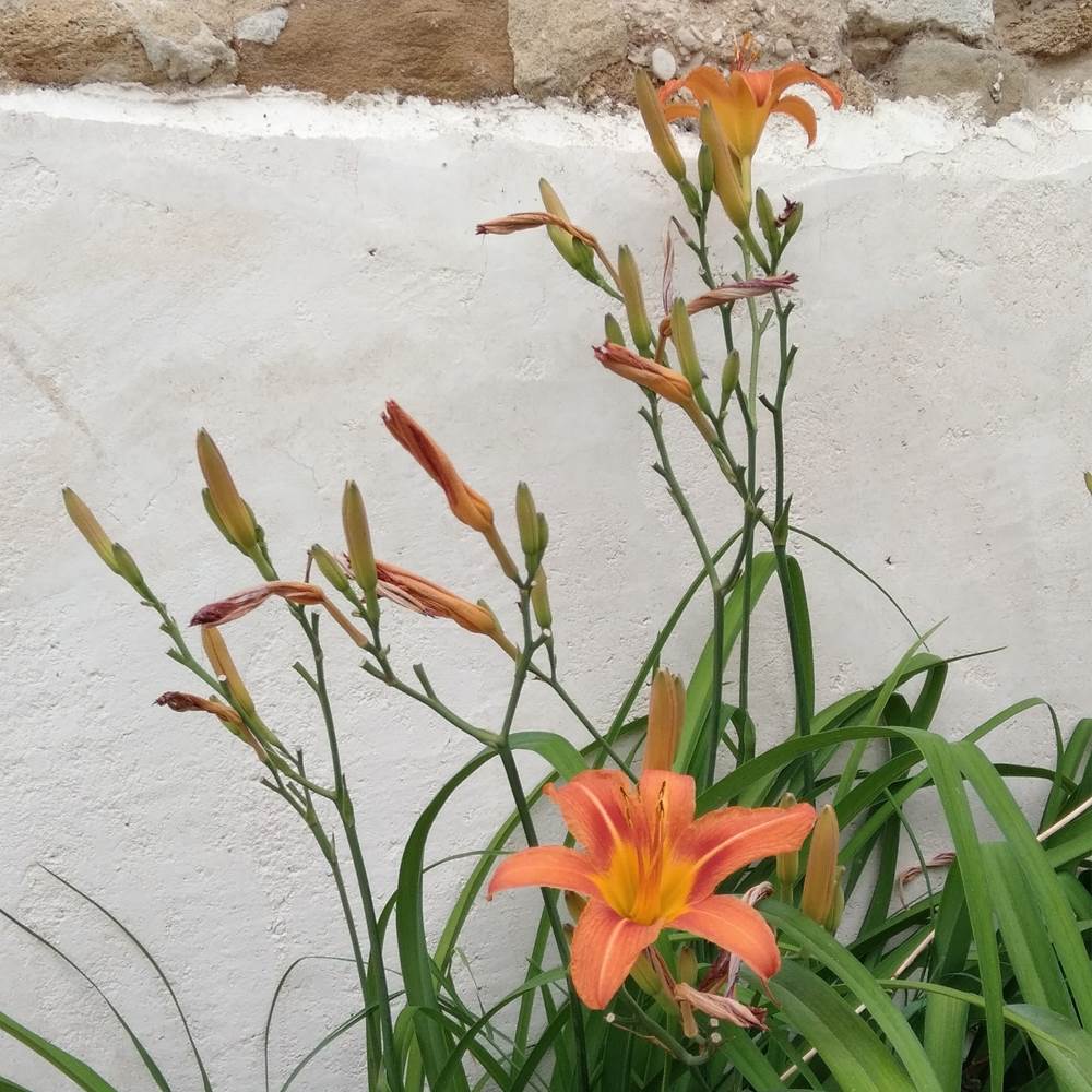 20220603_112742-presta