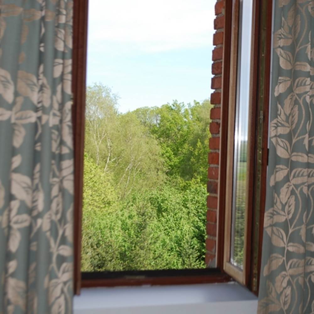 vue sur la nature Chambre Cabanon En Haute-Vienne Le Ranch des Lacs
