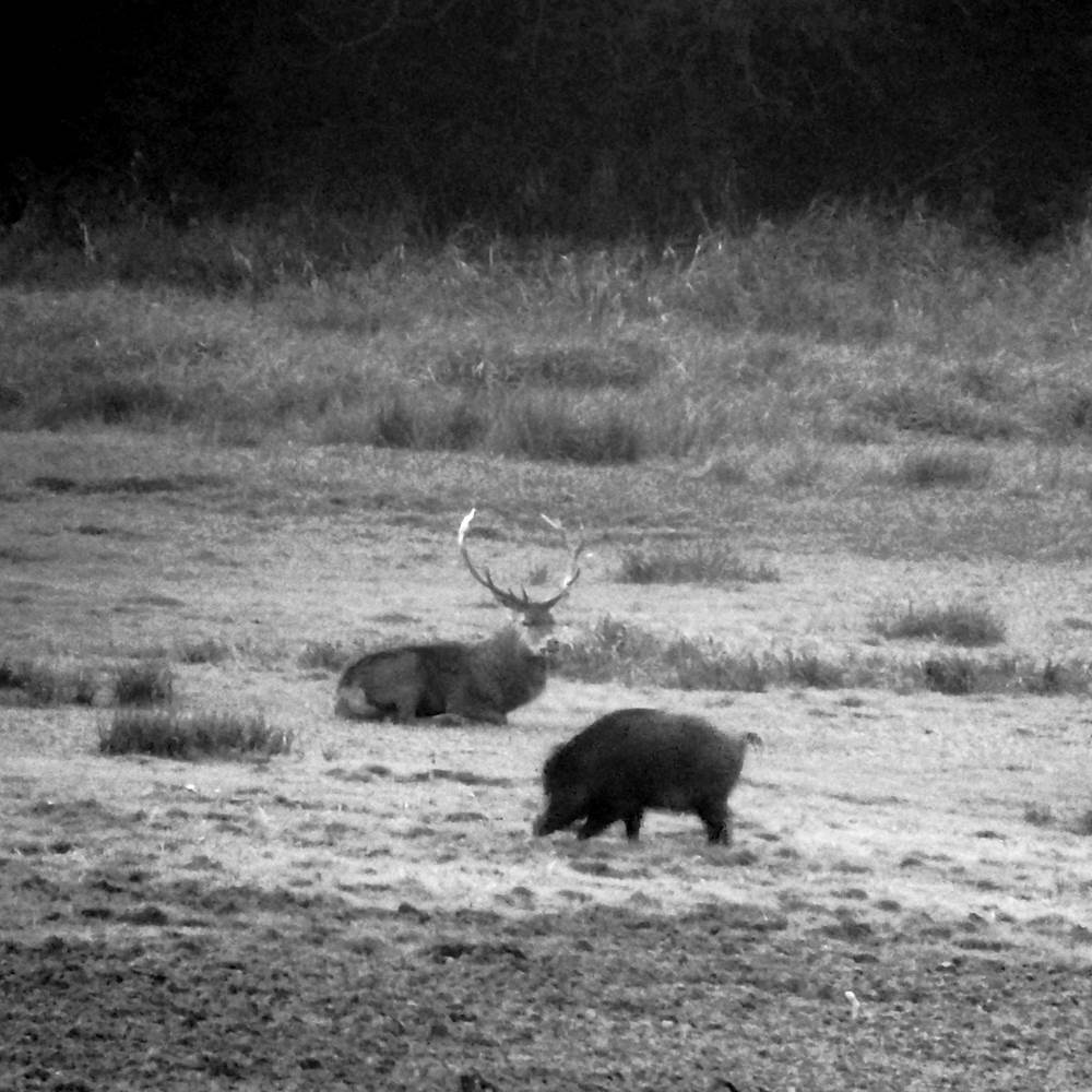 IMG_20191007_232357_946-presta