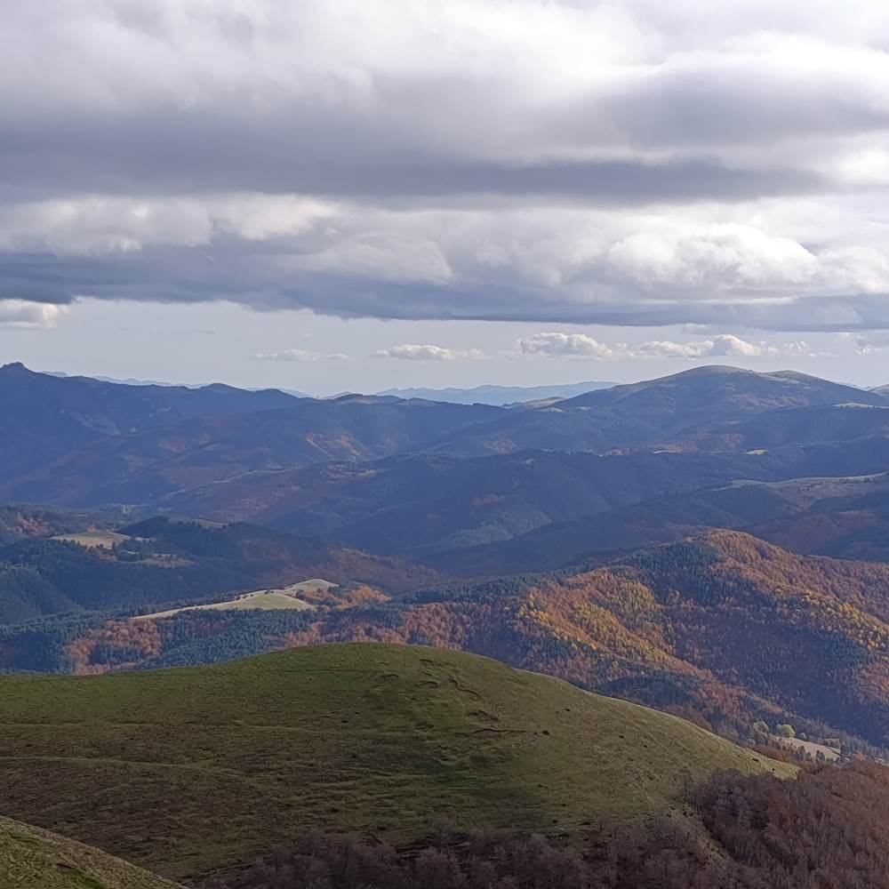 985c1b57-20aa-4e51-b6d1-5d0074da6a3e-1_all_8120-gallery