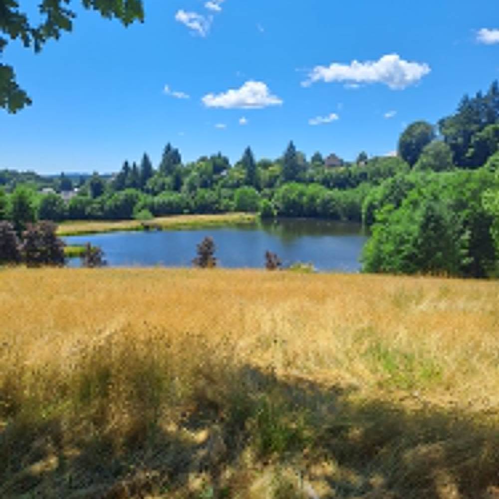Etang de la Garenne proche du Moulin-presta