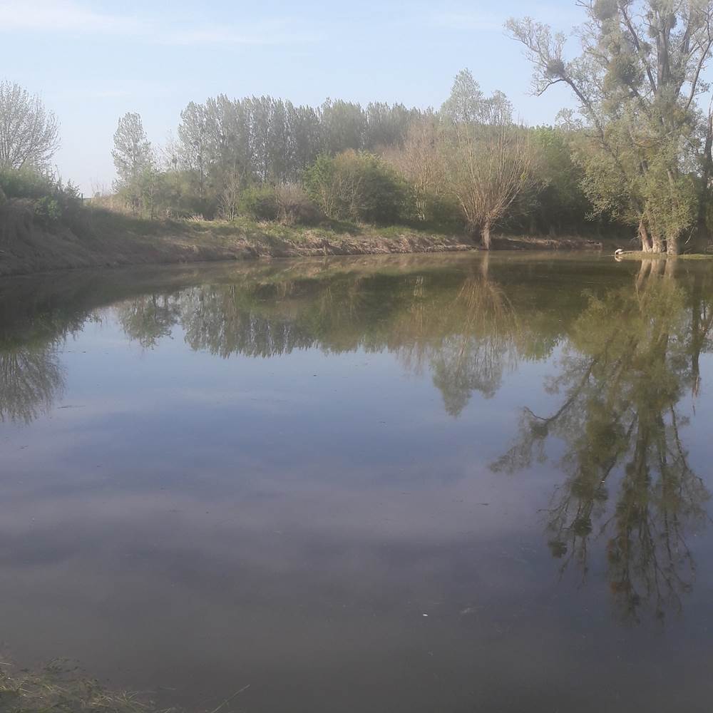 Notre étang privé à 800 m du gîte-presta