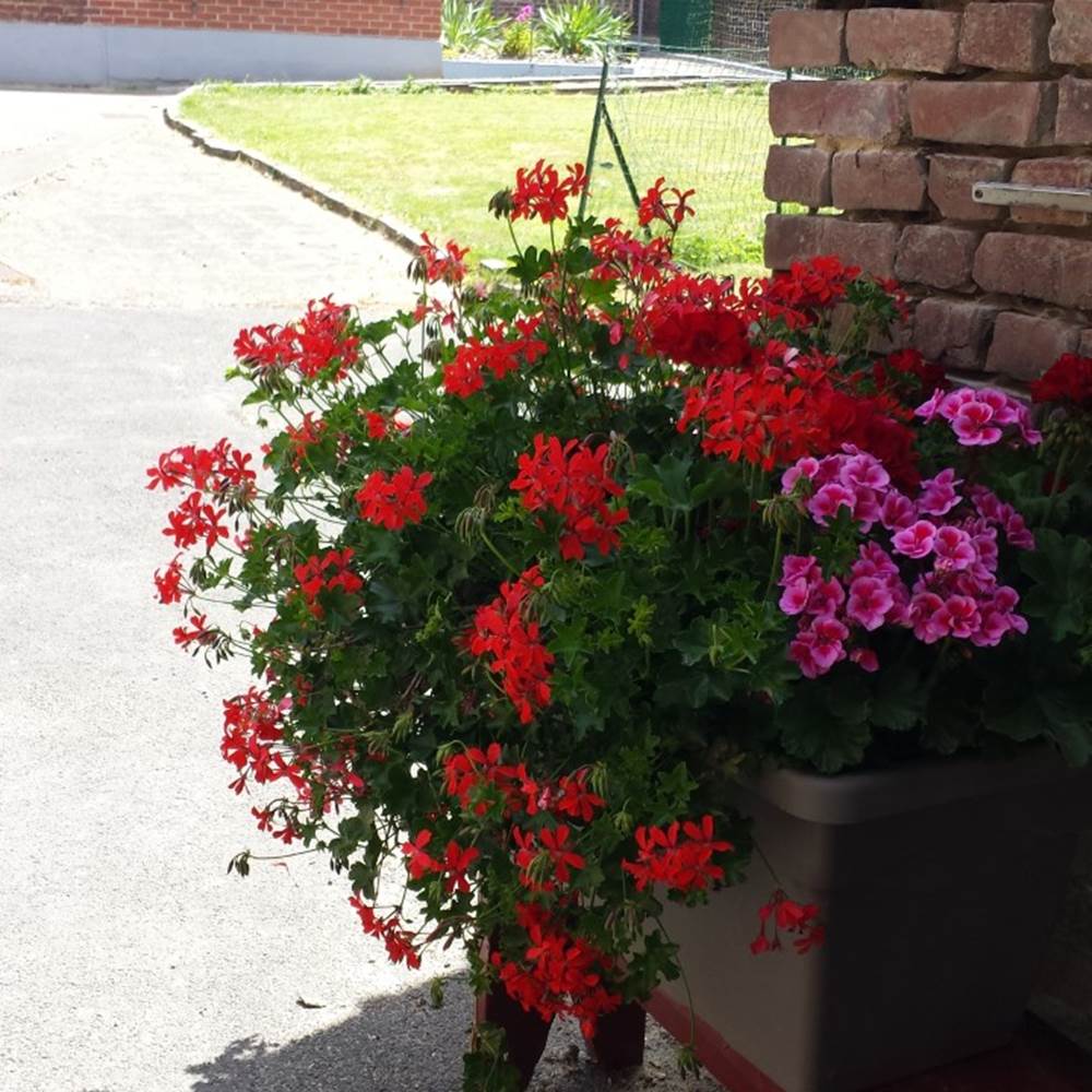 thumbnail_20170623_150206-presta