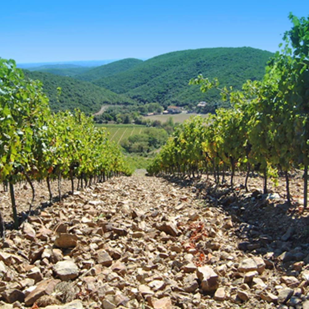 Mas Nicolas - Location maison de vacances - Hérault - Occitanie-presta