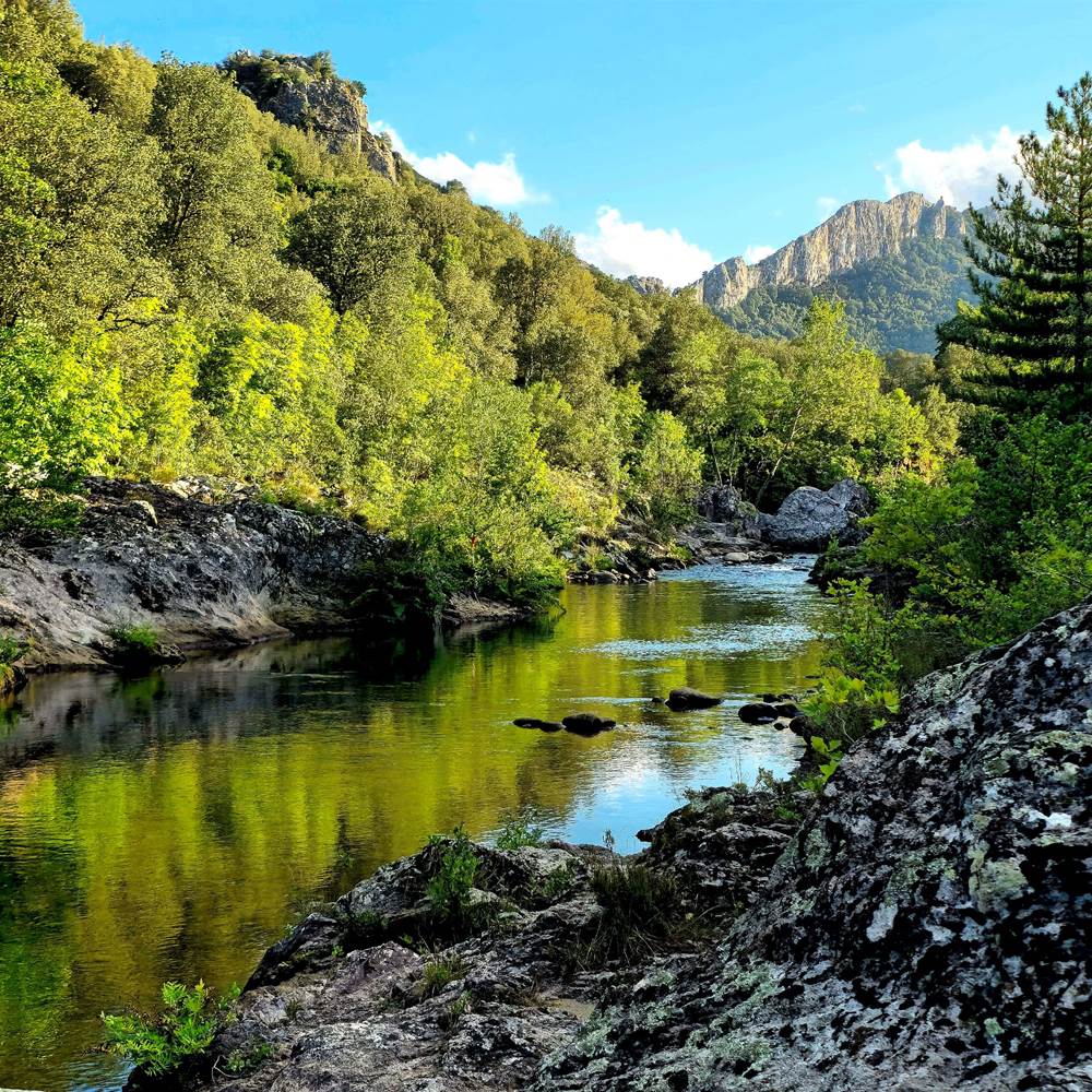 accès riviere 3-gallery