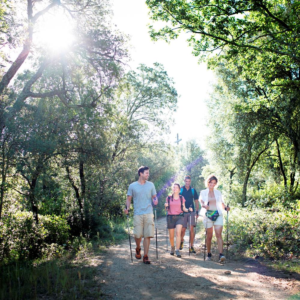 la_pinede_amelie_02-presta