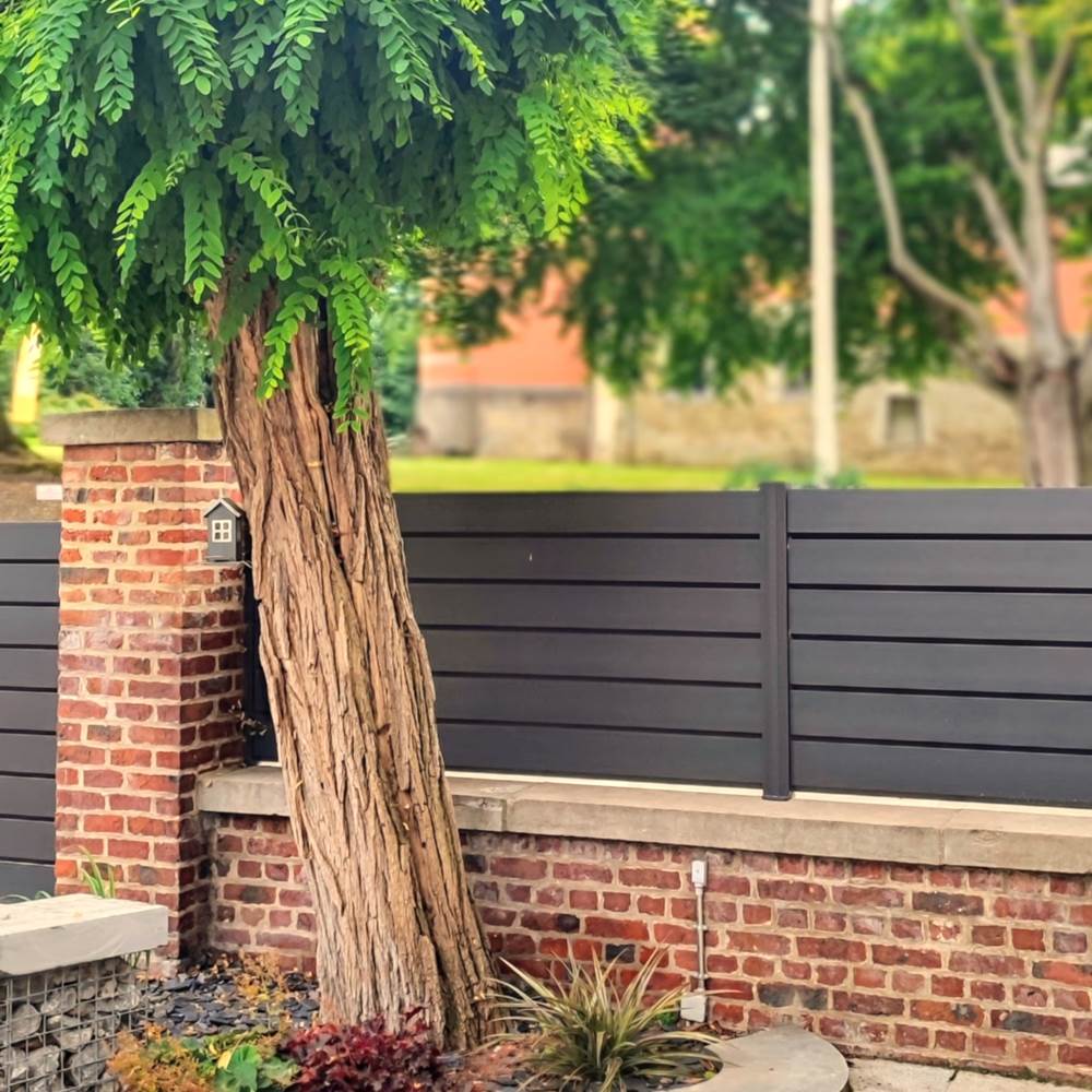 original_d8ceb2d7-7ace-4eaa-b304-6da4fb7f59e9_IMG_20240903_152421-presta