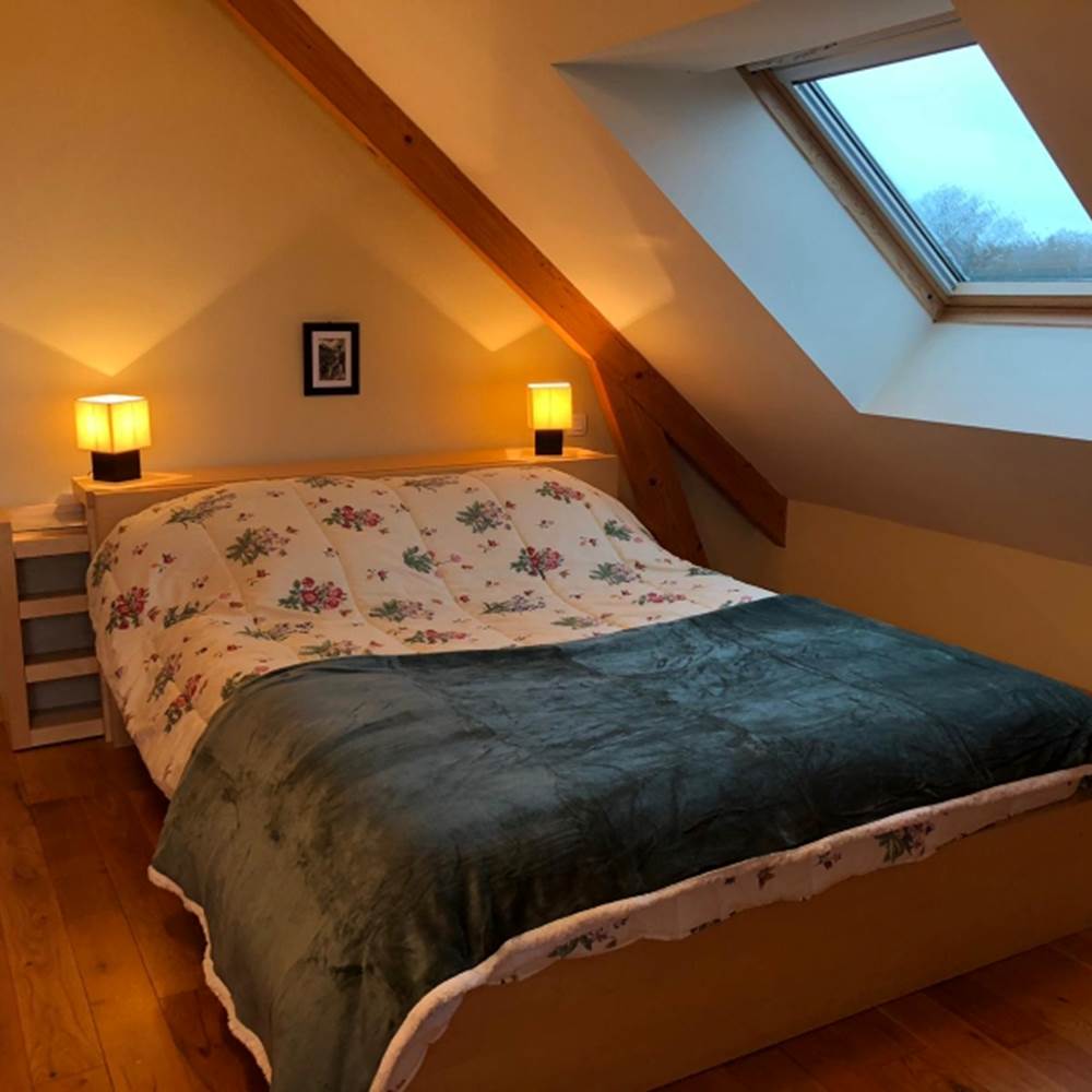 motion_photo_8717985101883457145 (1)